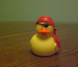 David Hewlett Auction Duck